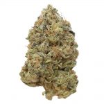 Tangerine G13 Amsterdam Genetics Seeds