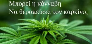 cannabis leaf cancer 2b