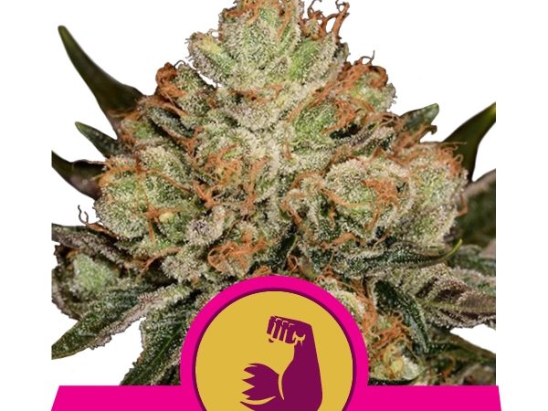 hulkberry