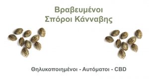 Σπόροι Κάνναβης royal min