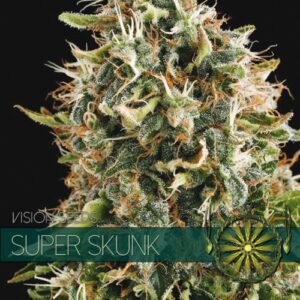 vision seeds super skunk 500x500 1