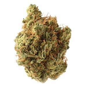 Amnesia Haze Amsterdam Genetic Seeds