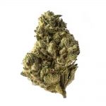 Strawberry Glue Amsterdam Genetic Seeds