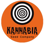Kannabia Seeds logo