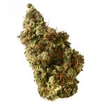 Milkshake Kush Auto Amsterdam Genetic Seeds