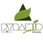 Pyramid Seeds logo