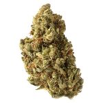 amazing haze Amsterdam Genetic Seeds