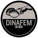 dina fem logo