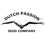 dutch passion seeds