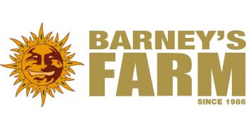 Barneys Farm Logo