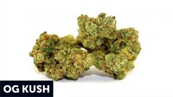 OG Kush post