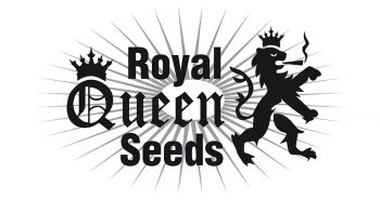 Royal Queen Seeds