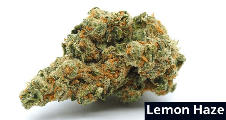 lemon haze