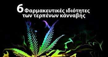 τερπένια κάνναβης