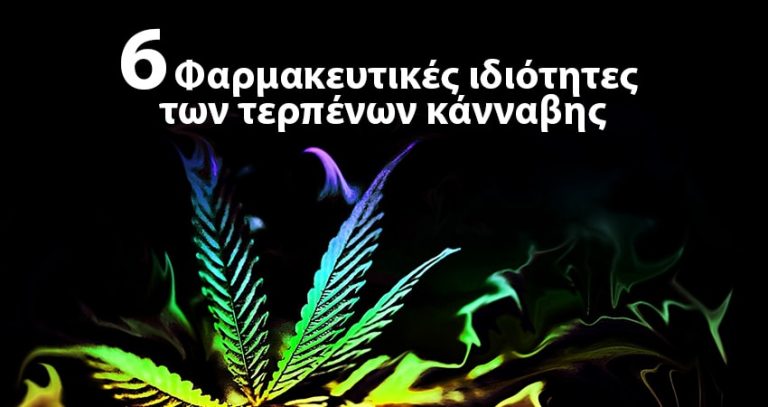 τερπένια κάνναβης