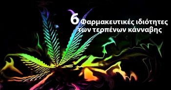 τερπένια κάνναβης