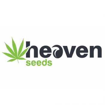 heaven seeds logo 500