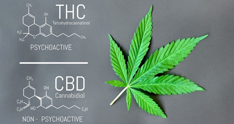 thc cbd