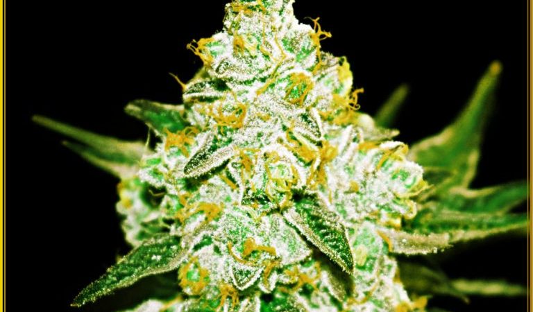 Northern Sky Auto