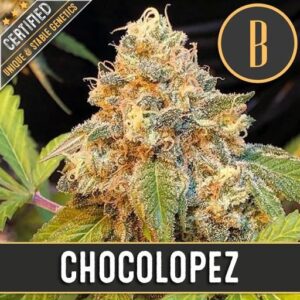 CHOCOLOPEZ 1