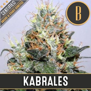 KABRALES