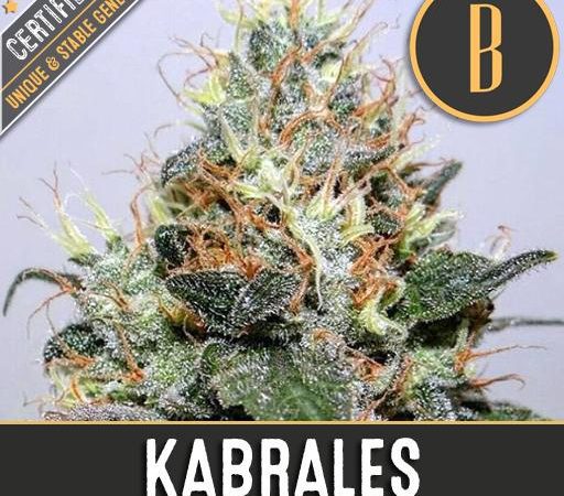 KABRALES